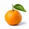 Orange Leaf In Oshare Kei Style With Accurate Details And Clean Look