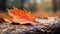 An orange leaf sits on top of a fallen tree, AI