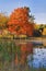 Orange leaves mirrored on a calm lakes surface.