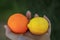 Orange and lemon citrus from a hybrid tree grown via a graft in California USA