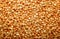 Orange lentil background