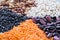 Orange lentils, white, purple, brown kidney haricot beans close-up