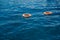 Orange life buoys floating on the surface of blue water