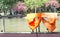 Orange life safety jackets dried on fence