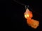 Orange light at dark midnight floating lantern in Lot Kratong festival