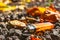 Orange lighter lies on stones among fallen leaves