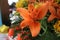 Orange lily in a flower bouquet with also Carthamus and other