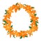 Orange lily frame, floral wreath circle frame, isolated vector