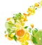 Orange and lime juice splash with abstract wave