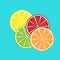 Orange, Lime, Limon, Grenadine Vector