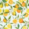 Orange and Limon Seamless Tropical Pattern