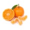 Orange mandarin