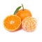 Orange mandarin