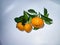 the orange mandarin as we know santang orange or shantang isolated on white, fresh and sweet mandarin orange with leaves,