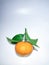 the orange mandarin as we know santang orange or shantang isolated on white, fresh and sweet mandarin orange with leaves,