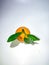 the orange mandarin as we know santang orange or shantang isolated on white, fresh and sweet mandarin orange with leaves,