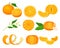 Orange Mandarin Fruit Unpeeled and Skinless with Segments Vector Set