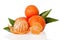 Orange mandarines, clementines, tangerines or small oranges with one peeled and cut in half