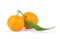 Orange mandarins with green leaf isolated