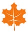 Orange maple leaf. Autumn sign. Fall tree symbol