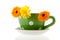 Orange marigolds in green coffee cup
