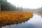 Orange Marsh landscape with river