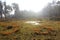 Orange Marsh landscape with river