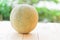 orange melon on wood plate