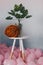 Orange merino wool ball on white table with plant