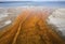 Orange microbial mat on shore of Yellowstone Lake, Wyoming.