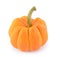 Orange miniature pumpkin