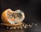 Orange moldy cut pumpkin, mold and mushrooms on food, mold development, isolated on a black background