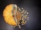 Orange moldy cut pumpkin, mold and mushrooms on food, mold development, isolated on a black background, shallow depth of field