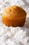 Orange muffin closeup in powdered sugar. vertical