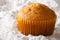 Orange muffin macro in powdered sugar. horizontal