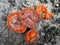 Orange mushrooms on the ground.