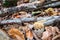 Orange mushrooms Yellow Stagshorn Calocera viscosa surrounded by rotten wood and autumn leaves.