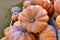 Orange \\\'Musquee de Provence\\\' pumpkins. Also called Fairytale pumpkin