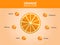 Orange nutrition facts, orange fruit with information, orange vector