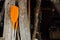 Orange oars on a wooden background. Two orange paddles for a sea boat or kayak