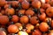 Orange October pumpkin batch pile