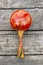 Orange old maracas on wooden background. Retro music style