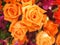 Orange Old rose color rose flower arrangement Beautiful bouquet on blurred of nature background symbol love Valentine Day