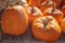 Orange organic pumpkins close up on wooden background, outdoor rural still life