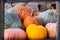 Orange Ornate Pumpkins old wooden frame