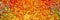 Orange paint swirls background banner.