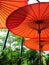 Orange paper bamboo umbrellas