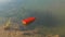 Orange paper boat floating on a lake