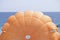 Orange parachute