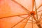 Orange parasol or umbrella